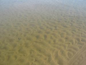 IMG_4286.JPG