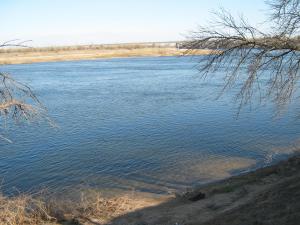 IMG_4321.JPG