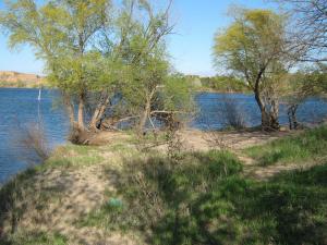 IMG_4413.JPG