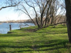 IMG_4318.JPG