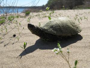 IMG_4306.JPG