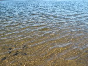 IMG_4405.JPG