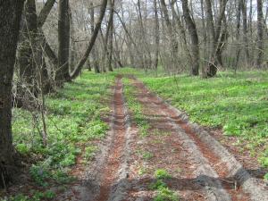 IMG_4348.JPG