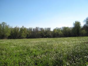 IMG_4392.JPG