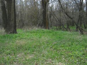IMG_4345.JPG