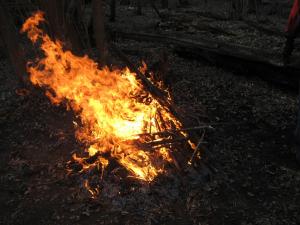 IMG_4408.JPG