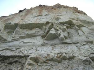 IMG_4364.JPG