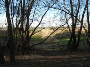 IMG_4396.JPG