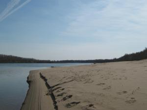 IMG_4290.JPG