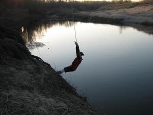 IMG_4337.JPG