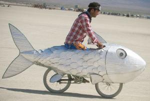Velorution - Fish bike.jpg