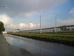 P1010015-1.jpg