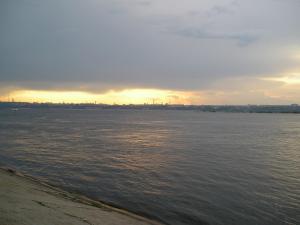 P1010018-1.jpg