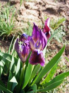DSCF1031.JPG