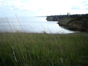 DSC01787.jpg