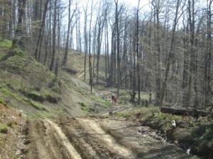 IMG_2166.JPG