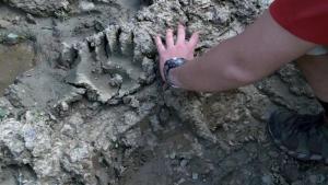 5-19-2011_001.jpg