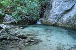 DSC06574.JPG
