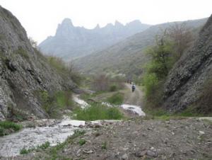 IMG_5307.jpg