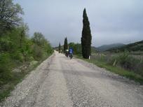 IMG_5366.jpg