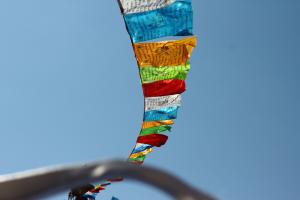 IMG_8767.jpg