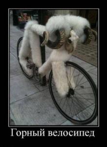 2E-GwGS-ltw.jpg