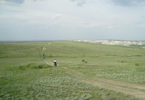 DSC04431.jpg