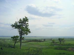 DSC04395.jpg