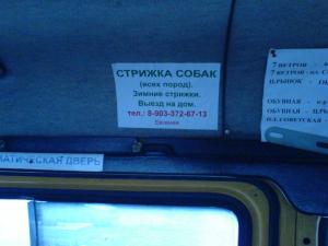 Объявл по стрижке собак_1.JPG