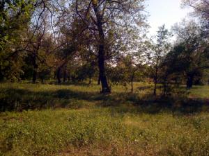 IMG_2221.JPG