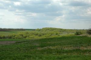 20130502_141916.jpg