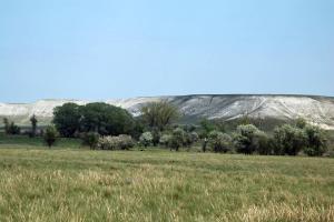 20130503_110002.jpg