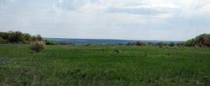20130503_123944.jpg