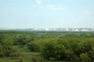 20130503_144254.jpg