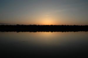 20130504_054548.jpg