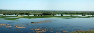 20130504_094050.jpg