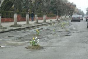 roadflowers.jpg