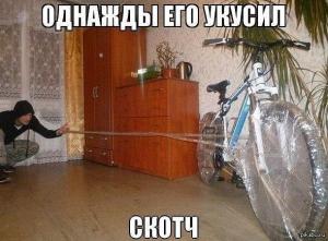 bike.jpg