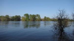 IMG_1492.jpg