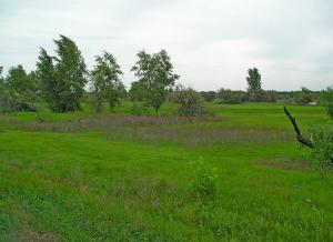 Image00001-1.jpg