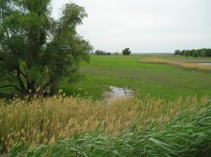 Image00004-1.jpg