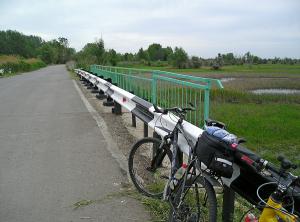 Image00005-1.jpg