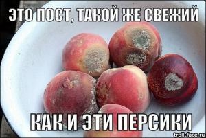 33Mdu_XXWwM.jpg