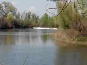 IMG_20140504_123235.jpg