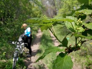 IMG_20140504_134001.jpg