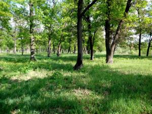 IMG_20140504_164432.jpg