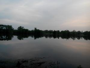 IMG_20140514_201015.jpg