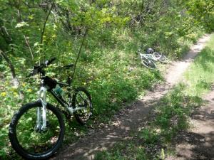 IMG_20140504_133659.jpg