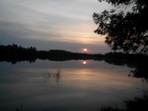 IMG_20140514_201021.jpg