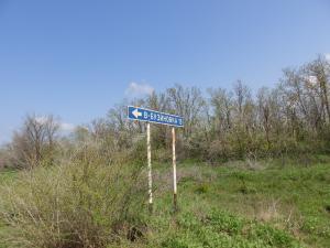 P5040747.JPG